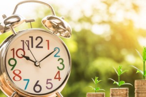 أدبيات الاستدامة